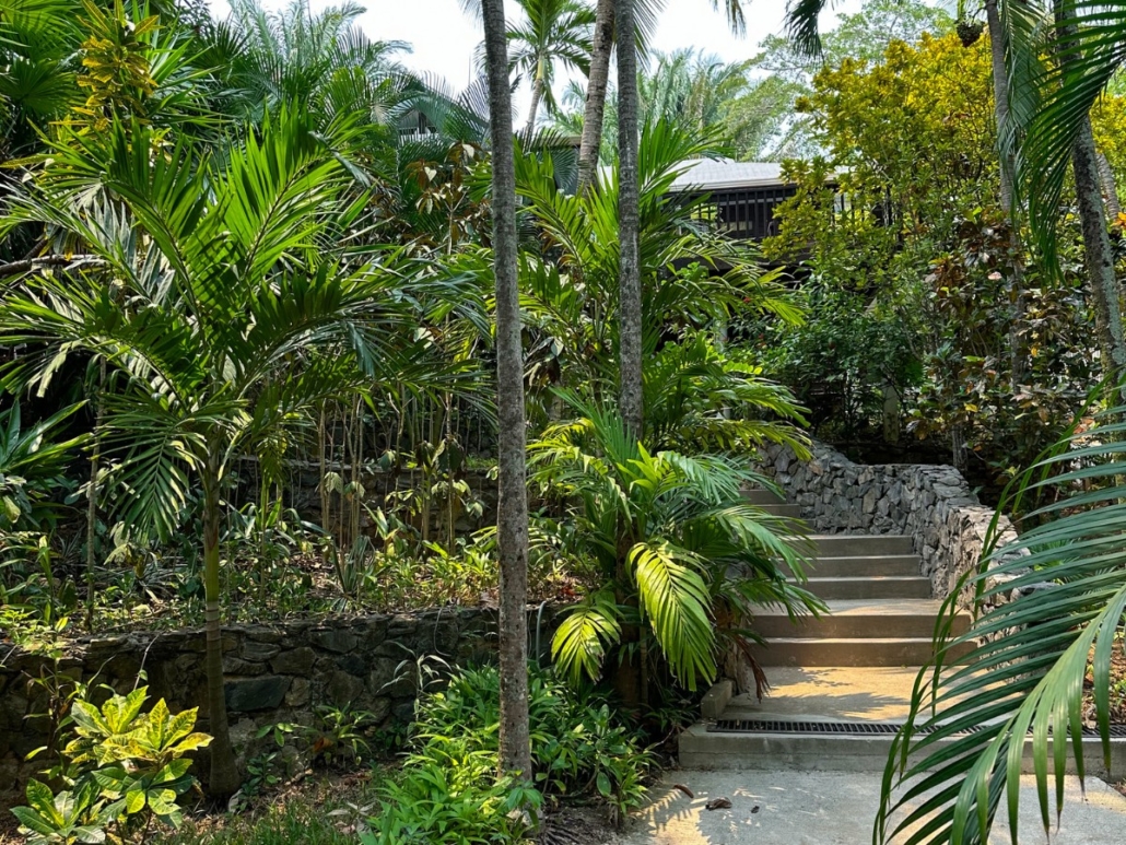 Puerta Azul Boutique Hotel Latest Honduran Entry Requirements
