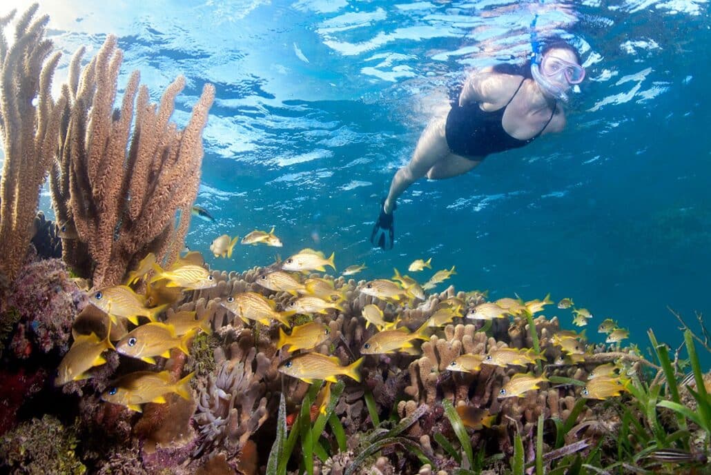The Best Snorkeling In Roatan with Puerta Azul Boutique Hotel