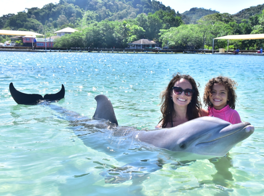 Roatan Family Activities - Dolphin Encounter - Puerta Azul Boutique Hotel