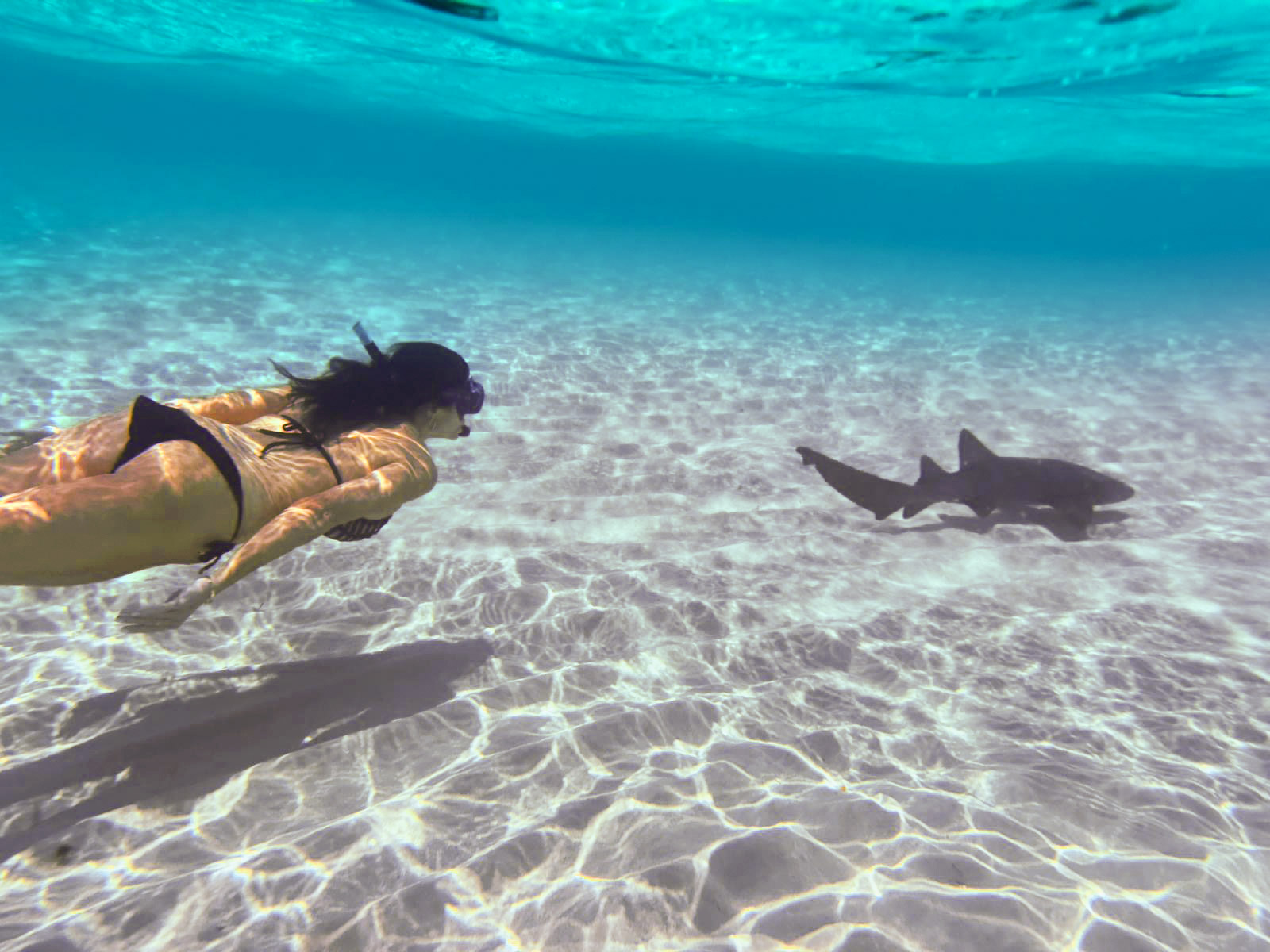 Puerta Azul Roatan Vacation Packages Pigeon Cay