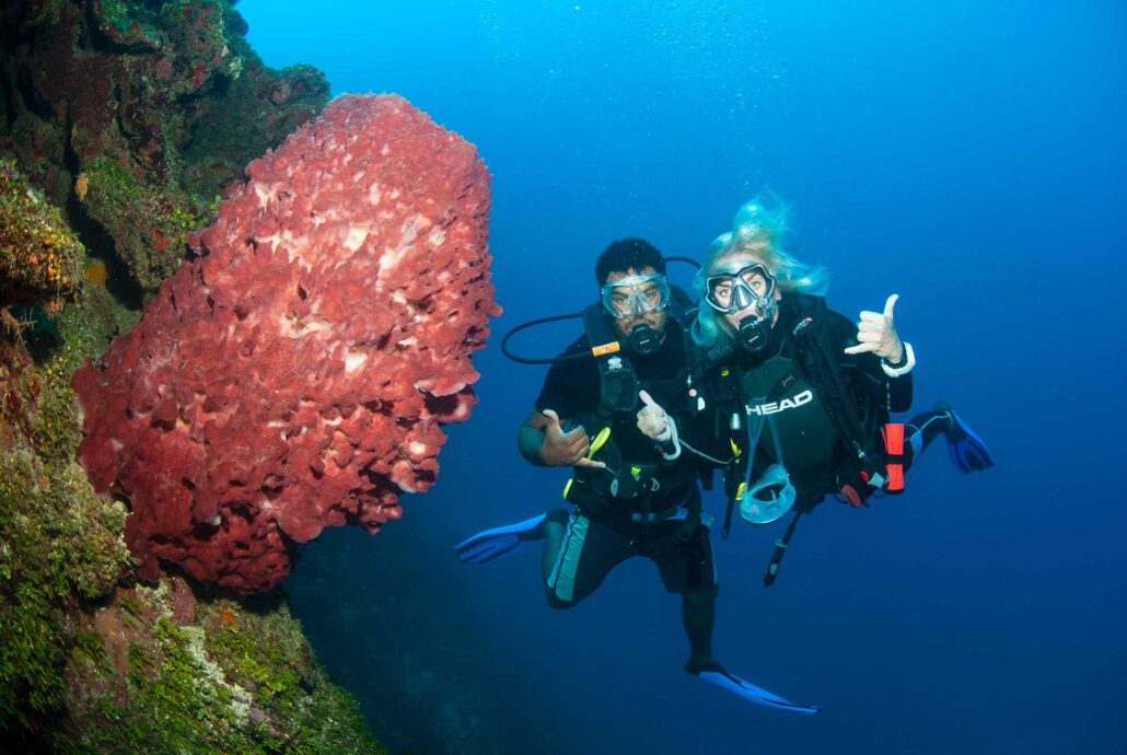 0010_spooky-channel (1)