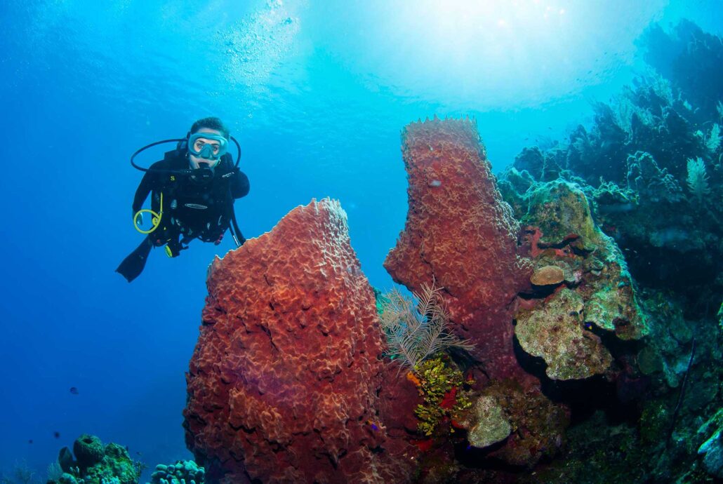 0035_Roatan-Underwater (2)