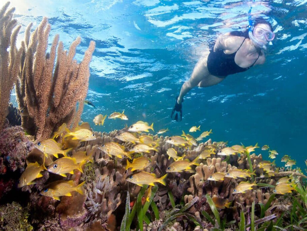A woman snorkeling in clear turquoise water over a vibrant coral reef with schools of yellow fish at Puerta Azul Roatan.