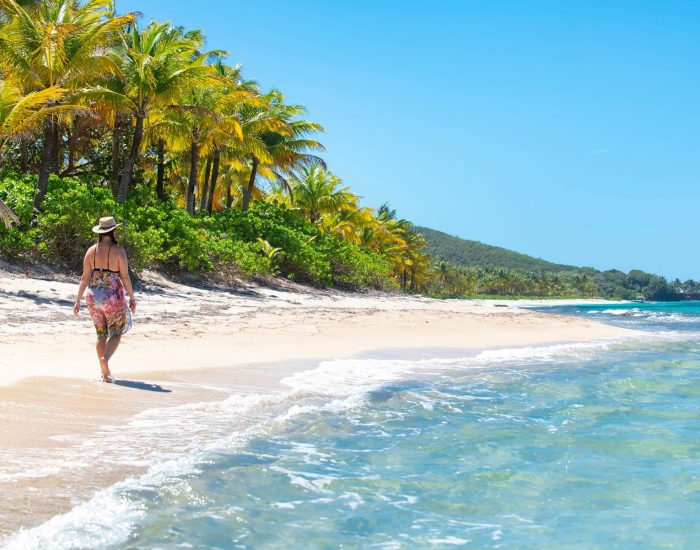 Camp Bay Beach - Roatan Excursions With Puerta Azul Boutique Hotel