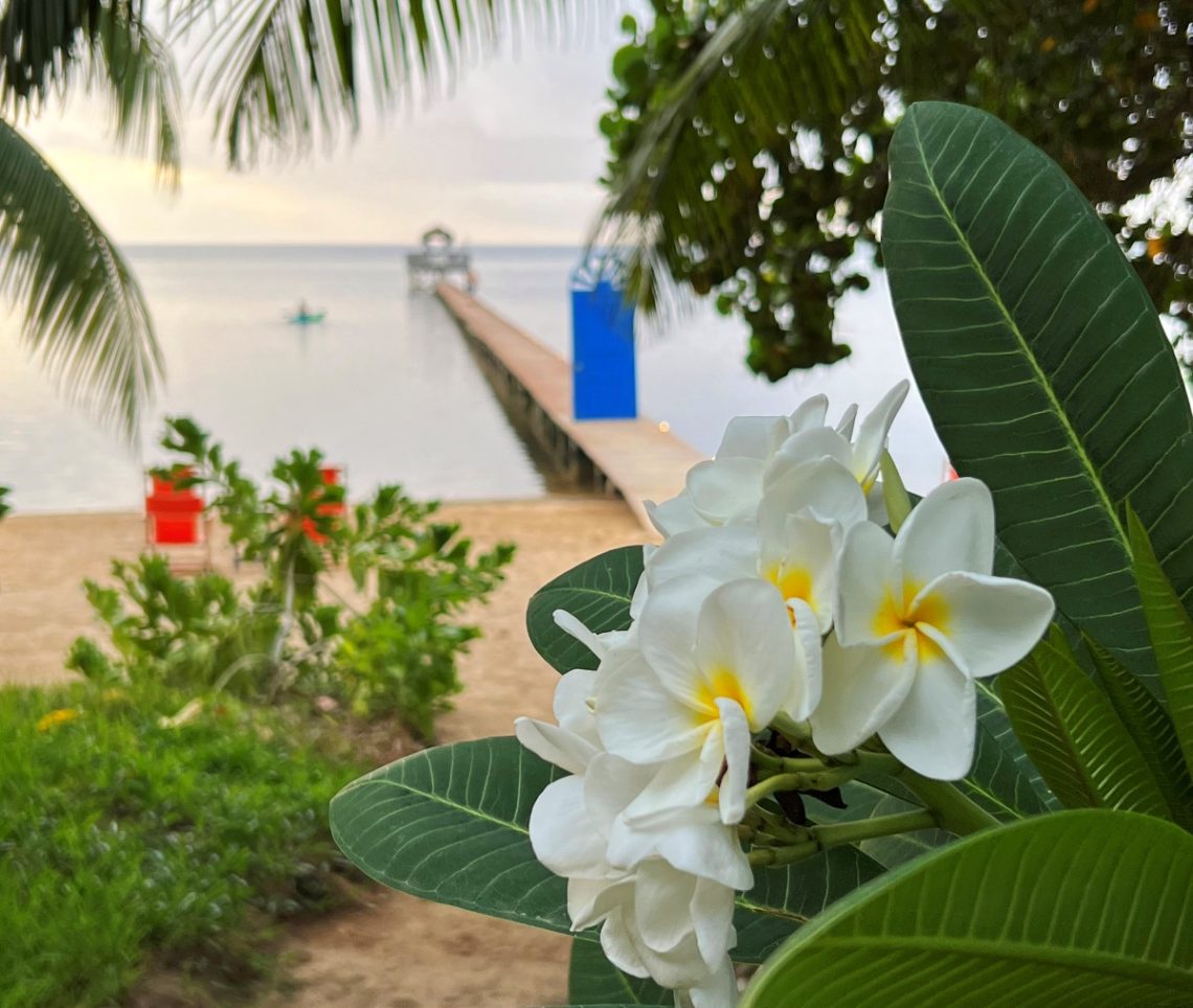 Is Roatan Island Safe - Puerta Azul Boutique Hotel