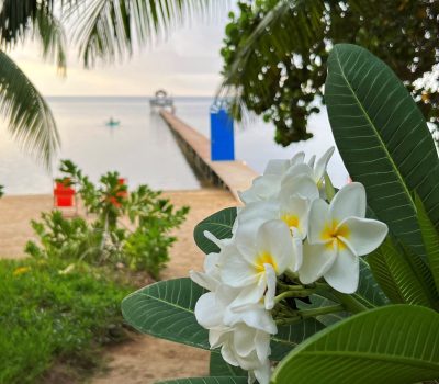 Is Roatan Island Safe - Puerta Azul Boutique Hotel