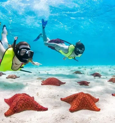 Roatan Island Snorkeling Tours - Pristine Bay