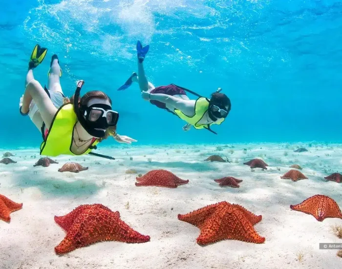 Roatan Island Snorkeling Tours - Pristine Bay