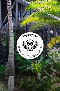 Puerta Azul Trip Advisor 2024 Award