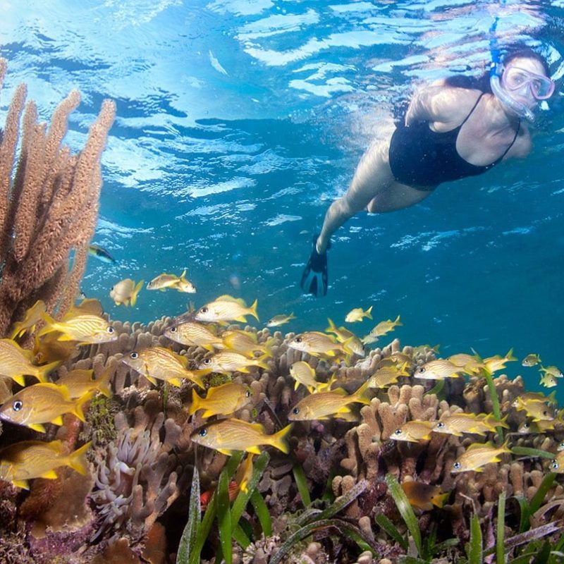 The Best Snorkeling In Roatan with Puerta Azul Boutique Hotel