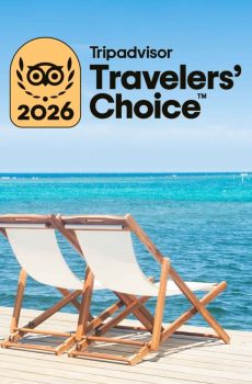 Trip Advisor Travelers Choice