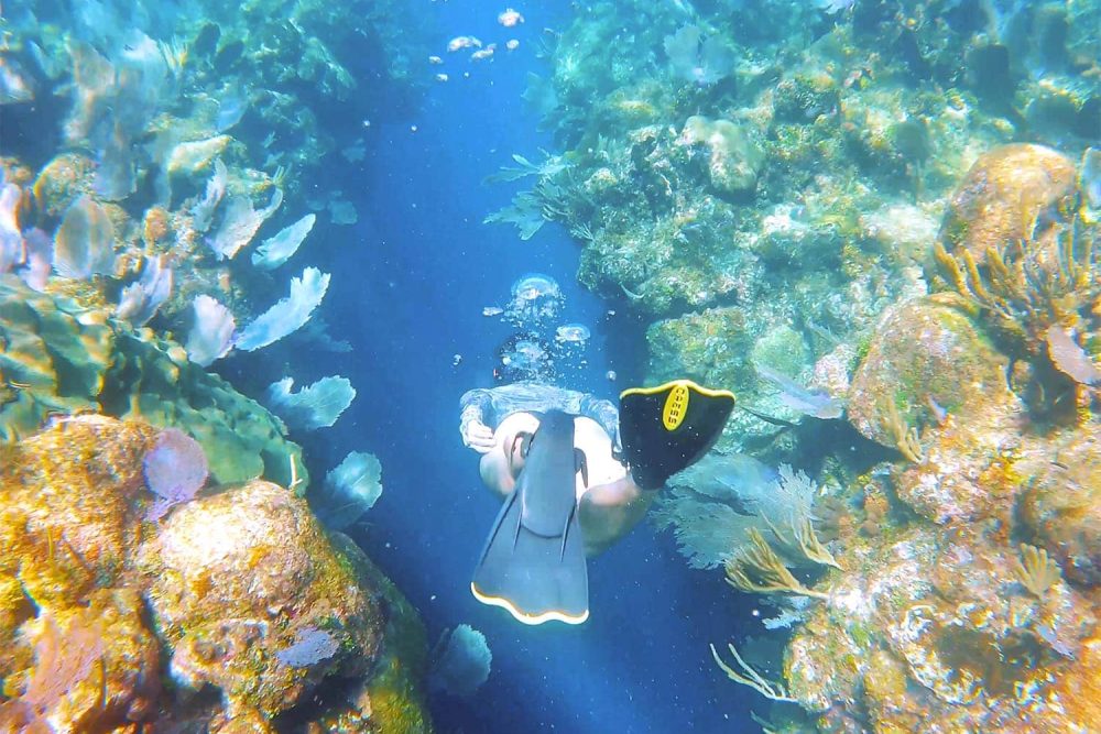 Snorkeling the Spooky Channel Canyon A snorkeler exploring the vibrant coral walls of Spooky Channel in Roatan, Sandy Bay.